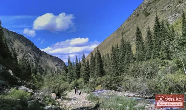 Мамлекеттик табигый улуттук парк «Салкын-Тор»