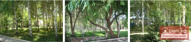 The title translates to "Flamingo Boarding House."