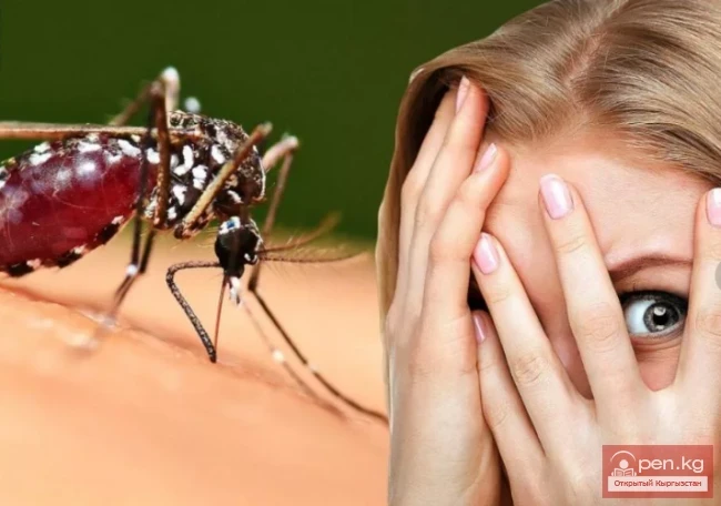 Unexpected Ways to Protect Against Mosquitoes
