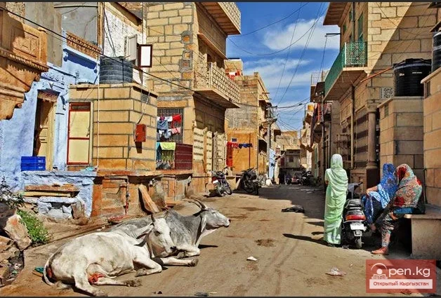 50 интересных фактов об Индии