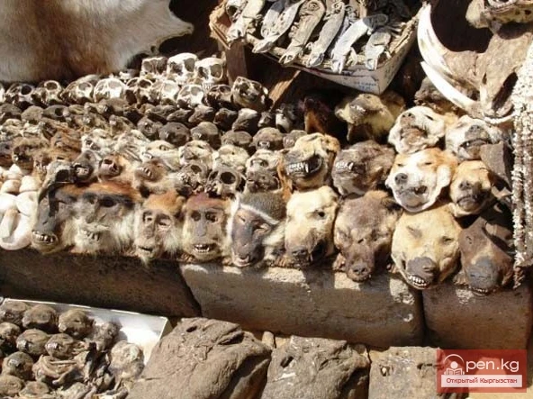 Жердеги эң коркунучтуу жерлер