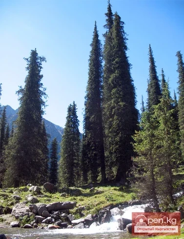 Улуттук табигый парк “Каракол”