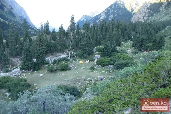 Джуука капчыгайы