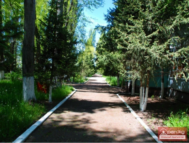 Olympus Boarding House