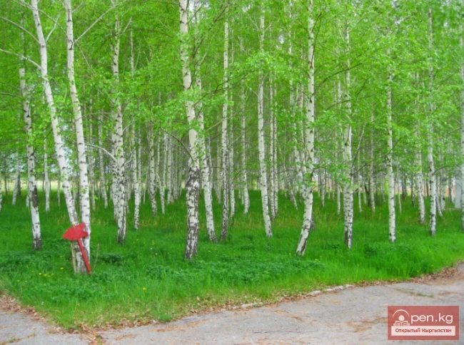 Olympus Boarding House