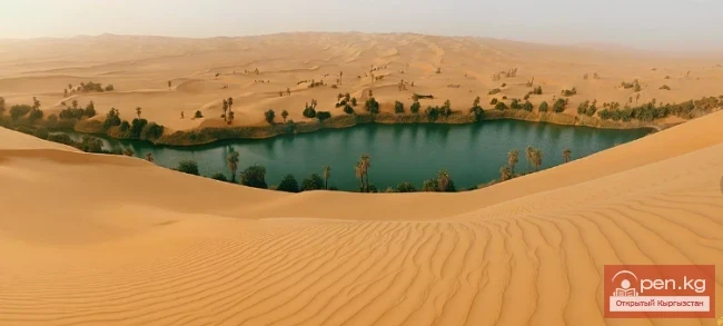 15 Interesting Facts About Deserts