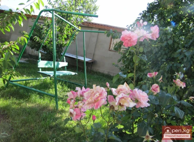 Edelweiss Guesthouse