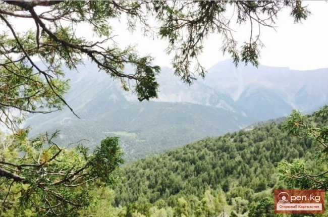 Улуттук табигый парк «Саркент»