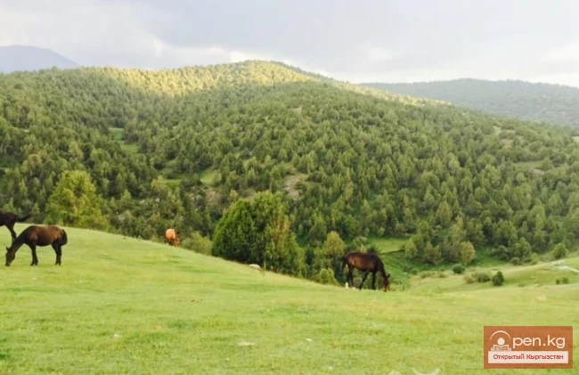 Улуттук табигый парк «Саркент»