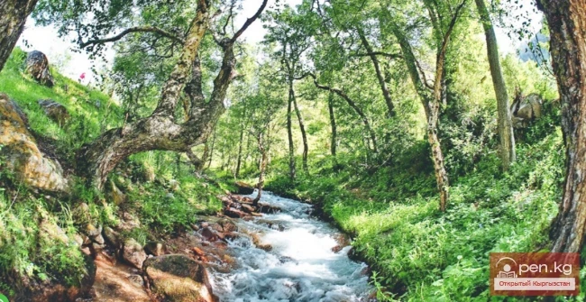 Улуттук табигый парк «Саркент»