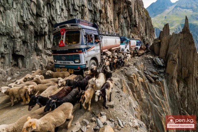 Дүйнөдөгү эң кооптуу жолдор