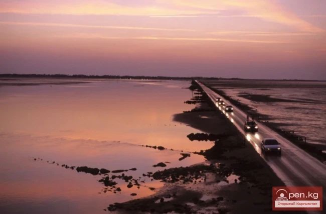 Дүйнөдөгү эң кооптуу жолдор