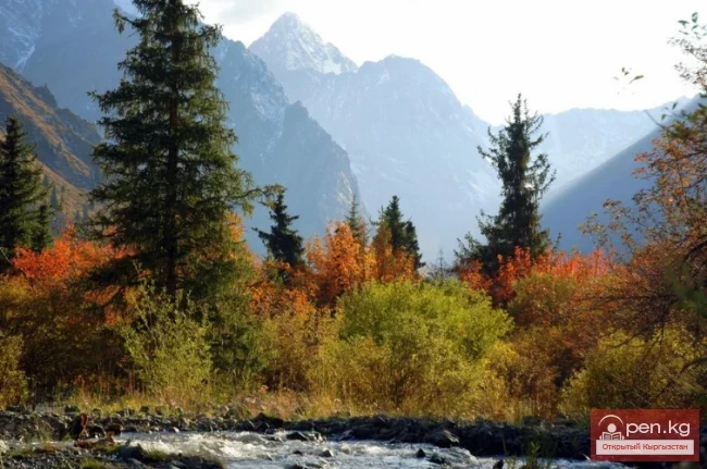 Улуттук табигый парк “Каракол”