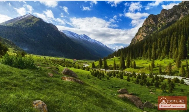 Теплоключенский заказчысы