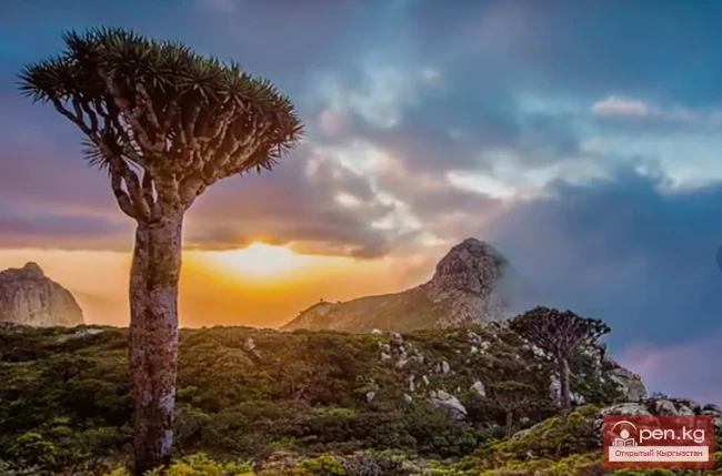 Жер шарындагы кооз жерлер