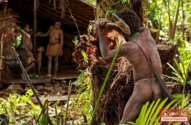 Least studied places on Earth