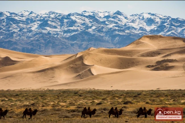 Least studied places on Earth