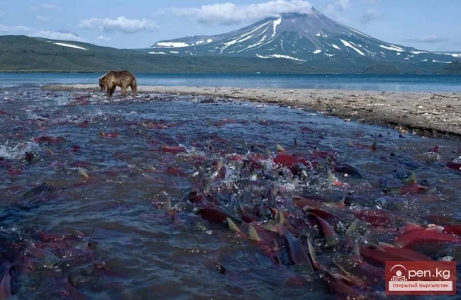 Least studied places on Earth