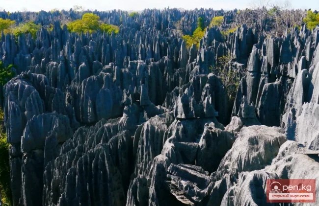 Least studied places on Earth