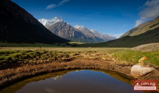 Джуука капчыгайы