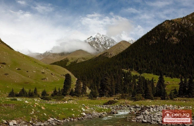 Джуука капчыгайы