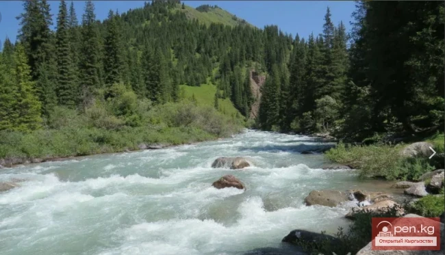 Тюпский  заказник