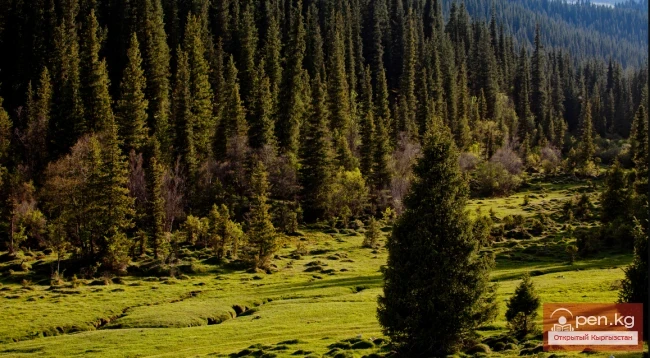 Chon Ak-Suu Gorge or Grigorievskoe