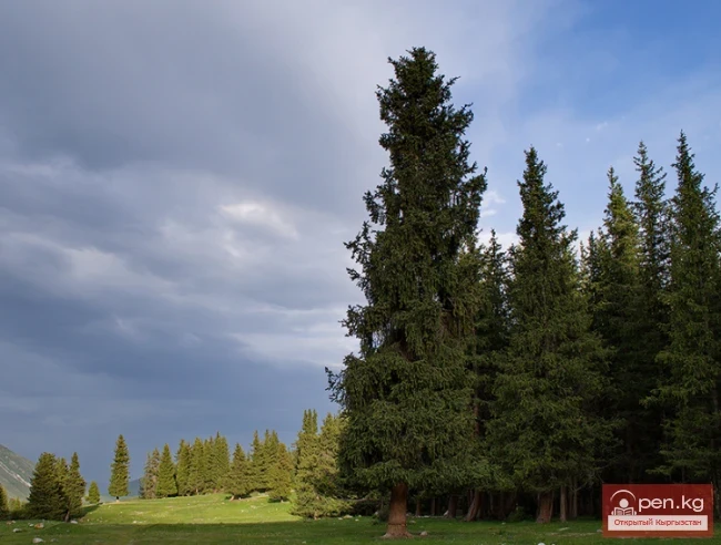 Chon Ak-Suu Gorge or Grigorievskoe