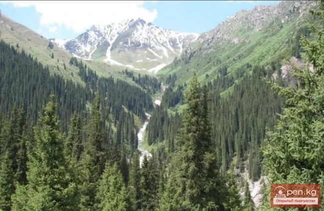 The title translates to "Altyn-Arashan Gorge."