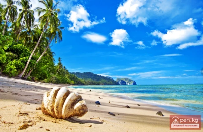 Необычные пляжи мира