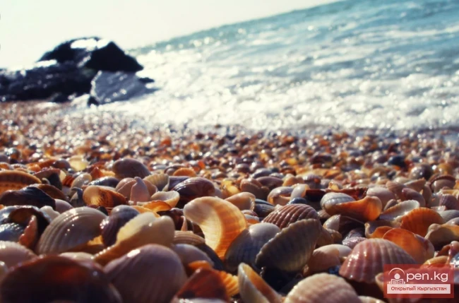 Unusual Beaches of the World