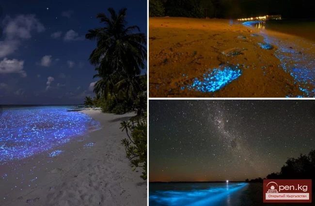 Unusual Beaches of the World