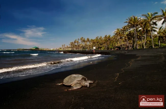 Unusual Beaches of the World