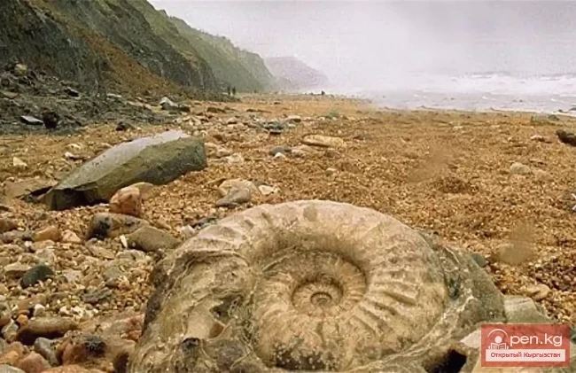 Unusual Beaches of the World