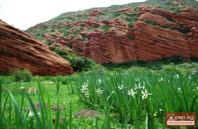 Чон-Кызыл-Суу жазыгы