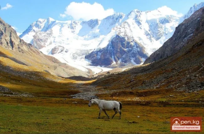 Чон-Кызыл-Суу жазыгы