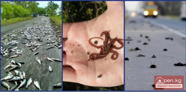 Rare Natural Phenomena on Earth