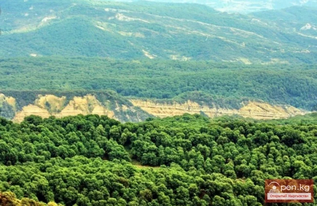 Чоң жана Кичи Арсланбоб суу ташкыны