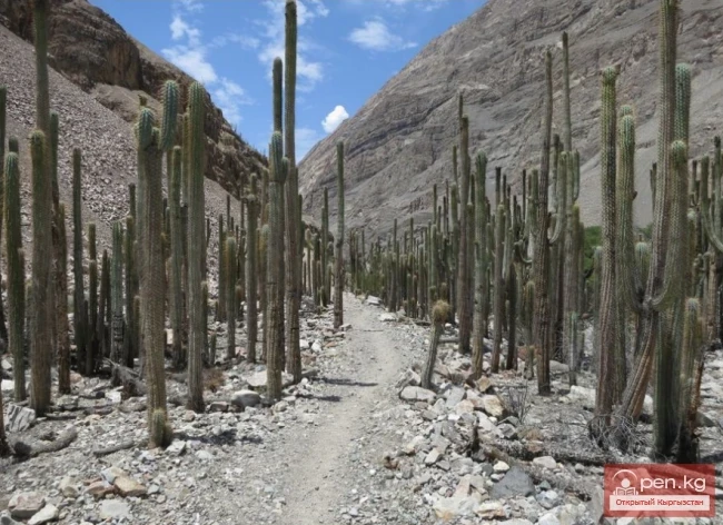 Дүйнөдөгү эң терең каньондор