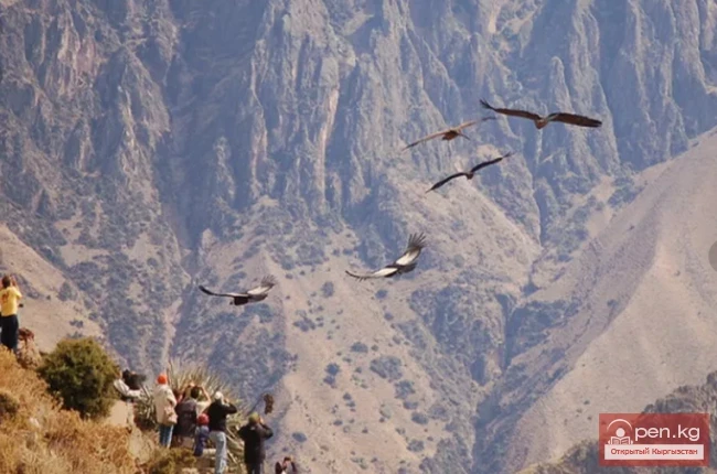 Дүйнөдөгү эң терең каньондор