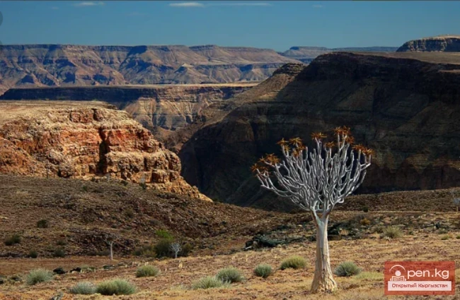 Дүйнөдөгү эң терең каньондор