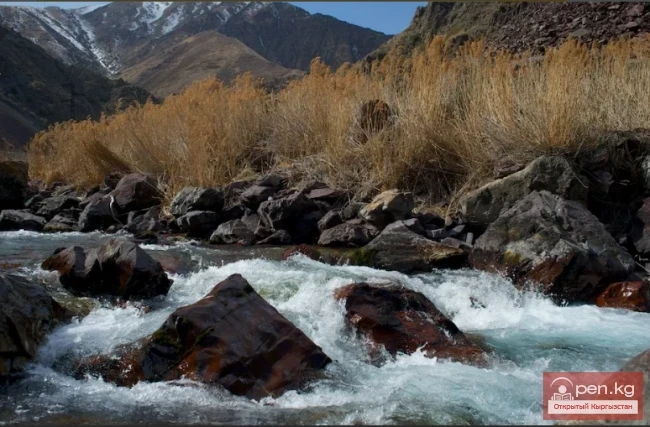 Кара-Балта жазыгы