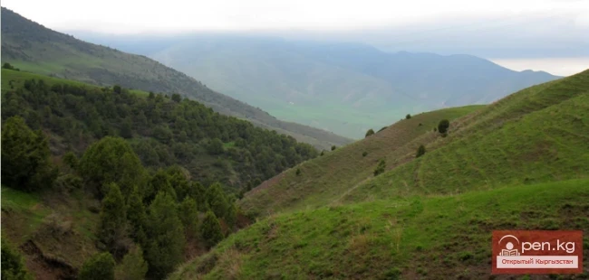 Оруу-Сай жазы