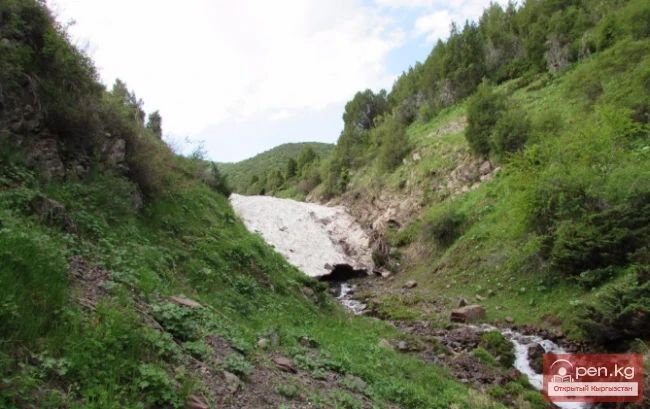 Оруу-Сай жазы