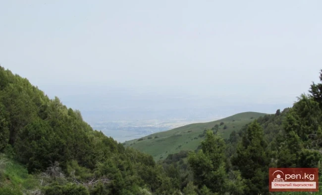 Оруу-Сай жазы