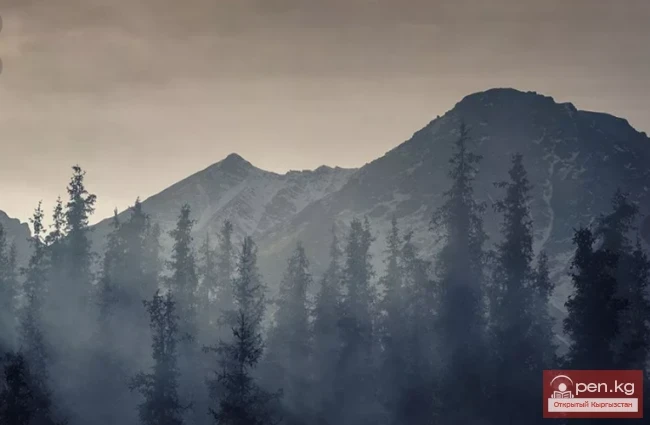 Чүй облусунун ашууларı