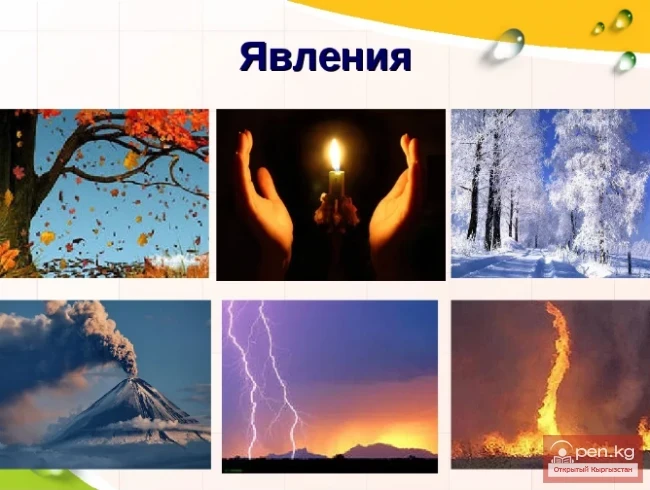 Жердеги сейрек табигый көрүнүштөр