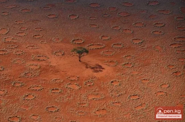 Rare Natural Phenomena on Earth