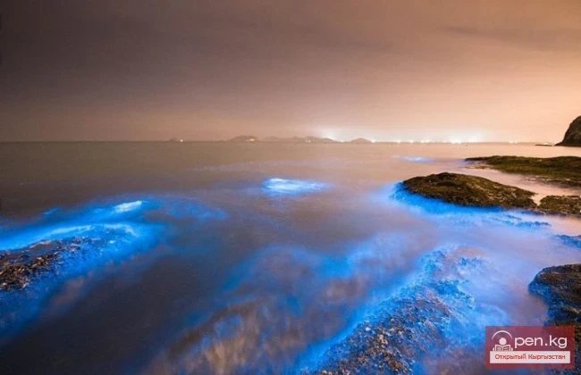 Rare Natural Phenomena on Earth