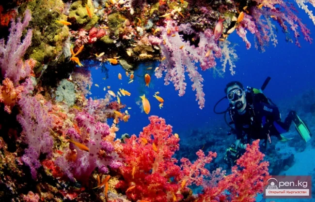 Кызыктуу планета